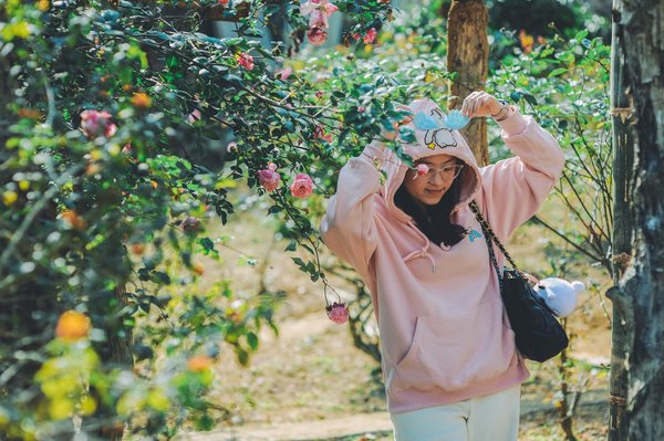 Les Changements en Politique Économique Globale